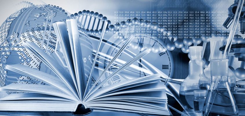 О реализации грантовой программы молодых ученых СНГ