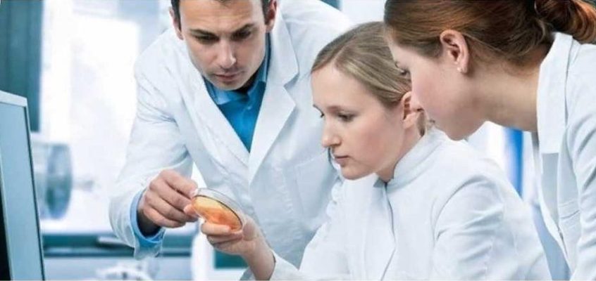 Грантовая программа для молодых ученых СНГ